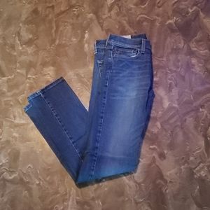 Hollister Jean's